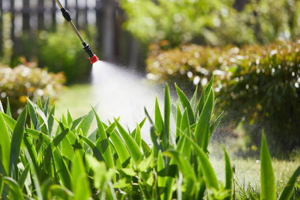 24/7 Emergency Fumigation Services experts in Kent Estates, IA