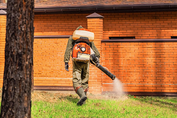 Trusted Rodent Control service in Kent Estates, IA - Nex Pest Control